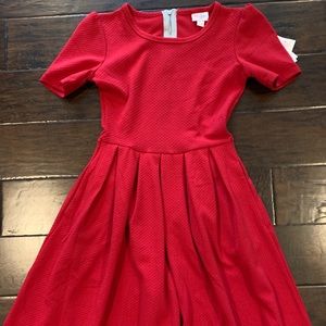 LuLaRoe Amelia (BNWT)